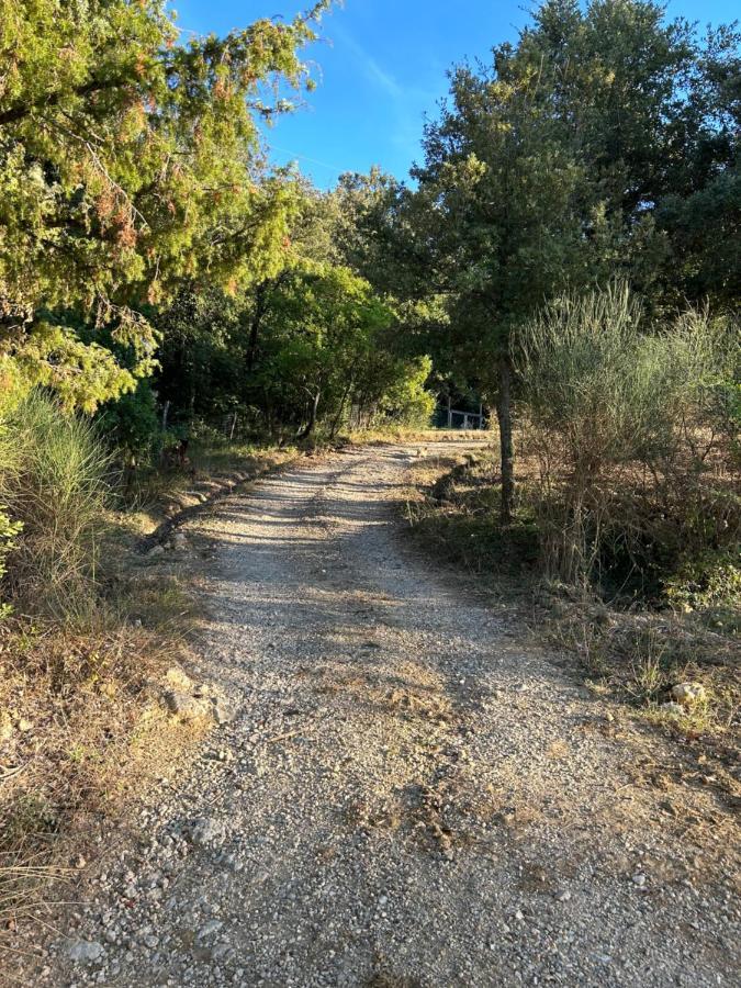 סן ג'ימיניאנו Casale Di Valle Mora מראה חיצוני תמונה