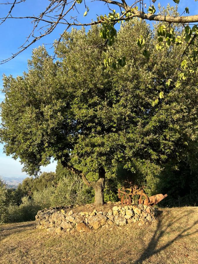 סן ג'ימיניאנו Casale Di Valle Mora מראה חיצוני תמונה