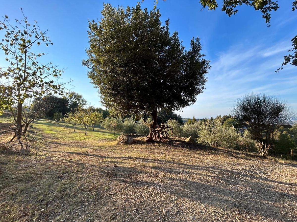 סן ג'ימיניאנו Casale Di Valle Mora מראה חיצוני תמונה